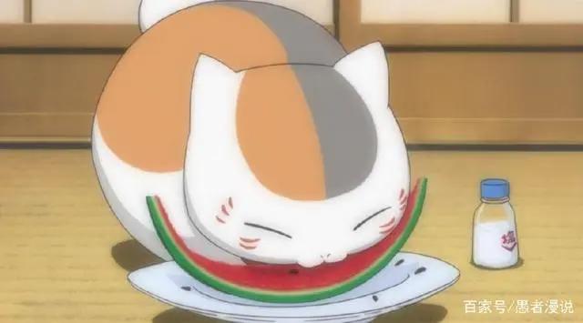 盘点动漫中的萌物，最后一只坑了无数魔法少女！