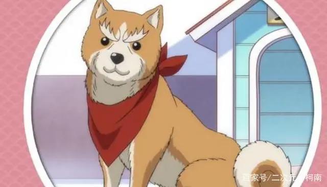 神仙级配音演员居然要为它们配音？真得能撑起来吗，有点上头