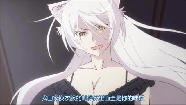 用生命在把妹！这部动漫的男主真的不简单