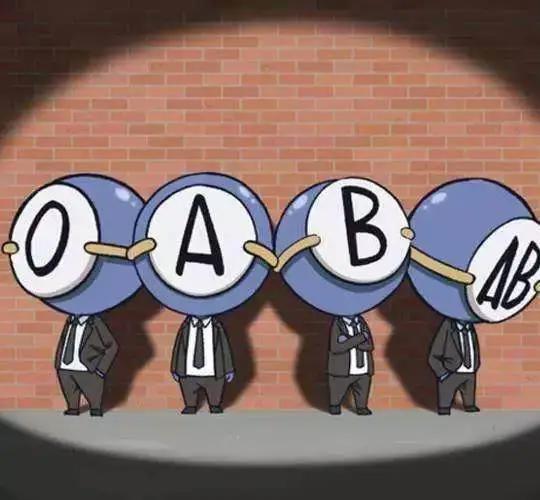 一集动漫，一碗泡面，说是泡面番但实际上信息量绝对很大！