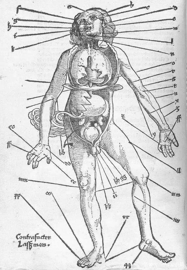 你的血型与性格、智商、社会地位，真的有关系么？｜地球知识局