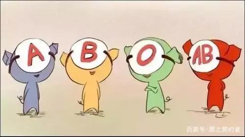 泡面番剧推荐，为何我的泡面还没熟，动画就已经结束了