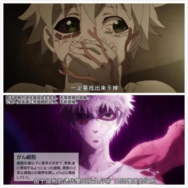 猛男必看！超热（ke）血（ai）动漫推荐第二期体内的故事