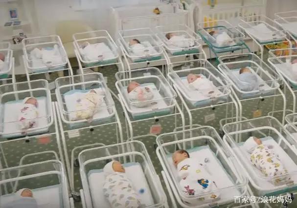 “我给我亲爹生儿子，你管得着？”女高中生给父母代孕生儿子！