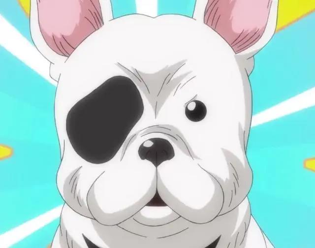 2020番真会玩！小狗哟，有名战国武将犬全员集合！