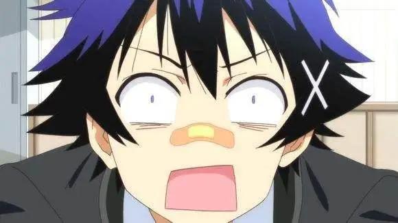 盘点动漫中那些让人羡慕的“后宫系”男角色！