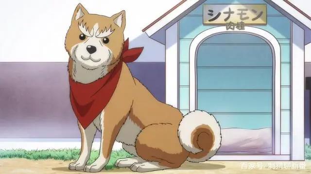 新番点评：武将转生之织田肉桂信长