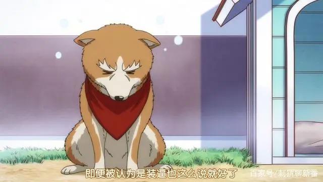 新番点评：武将转生之织田肉桂信长