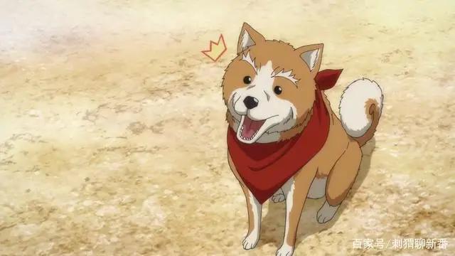 新番点评：武将转生之织田肉桂信长