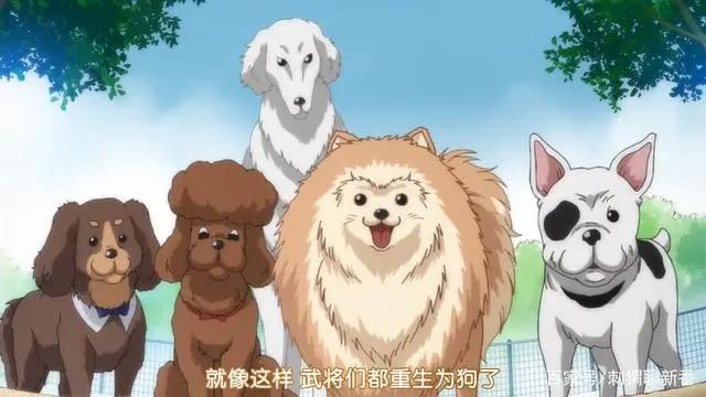 新番点评：武将转生之织田肉桂信长