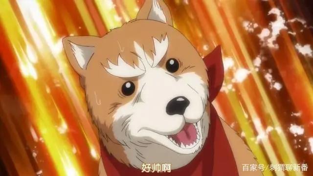 新番点评：武将转生之织田肉桂信长