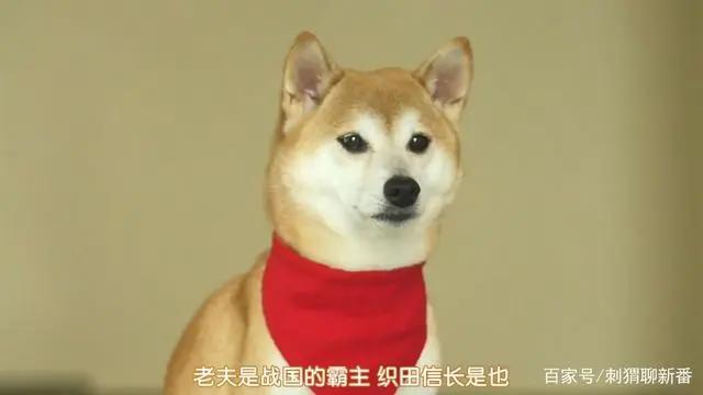 新番点评：武将转生之织田肉桂信长