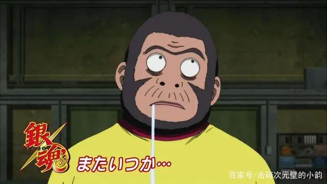 银魂特别篇：“用我一生节操”，换银魂特别篇再次上映