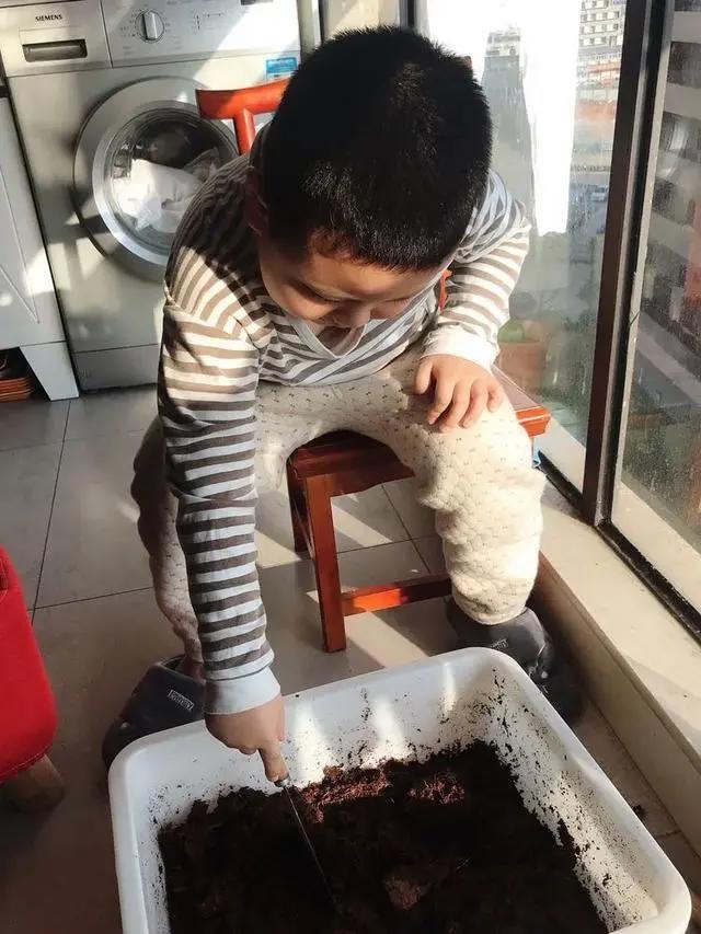 与多肉同行，愿一切安好！