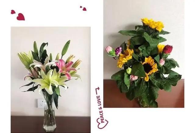 与多肉同行，愿一切安好！