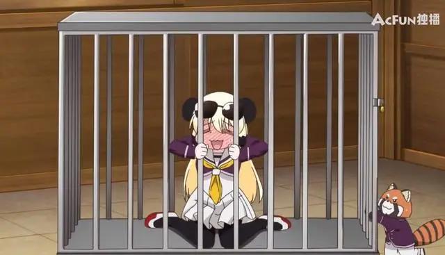 万物皆娘化，新番《西顿学园》，惊现中国熊猫娘