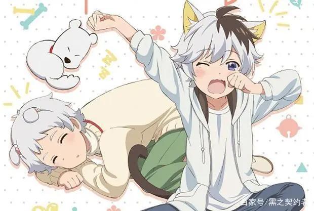 不值得看的5部一月番剧，你是否避开了呢？