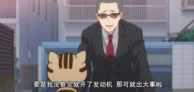 史上最萌少年：猫耳正太PK猫耳娘，到底谁才是正义？