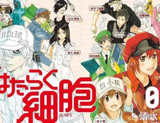 家有圆圆——万物皆可拟人化，一起来看萌系可爱的拟人化动漫盘点