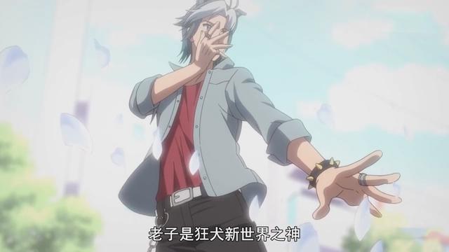 宠物拟人化1月新番《家有圆圆：我家的圆圆你知道吗》狗爱上猫