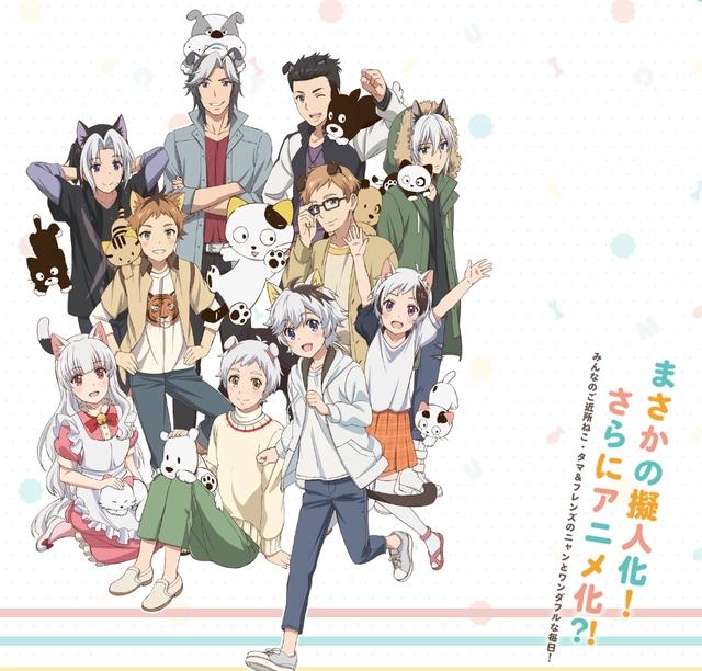 2020年1月新番，最全介绍！