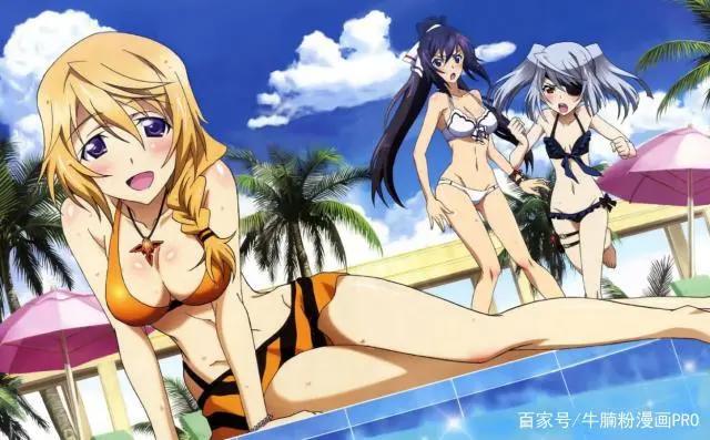 你知道名作之壁吗？日本动画走下坡路的开端，动漫作品《IS》