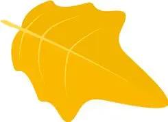 艺荐·音乐|聆听三毛回声，和崔健一起燥起来