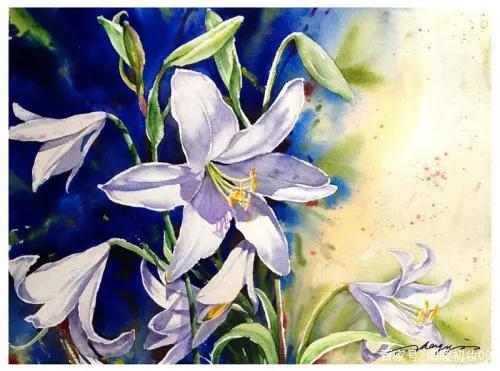 宝冢歌剧团：风华绝代的姐姐们进入动漫，依旧是大家的梦中情人