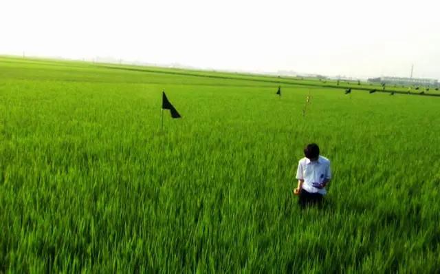 我们为什么期待《少年的你》？答案在日本电影里