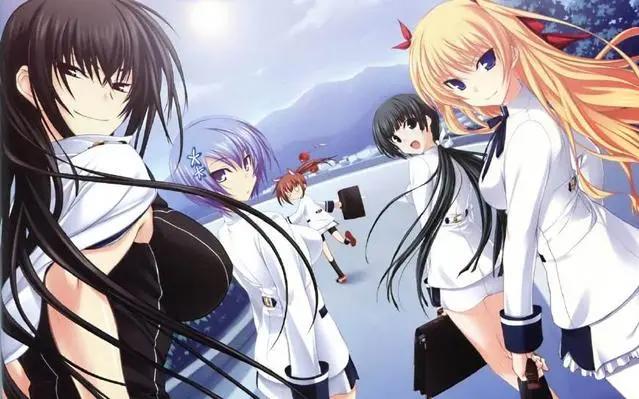 动漫：都是大佬们喜爱的后宫番，请收下吧！