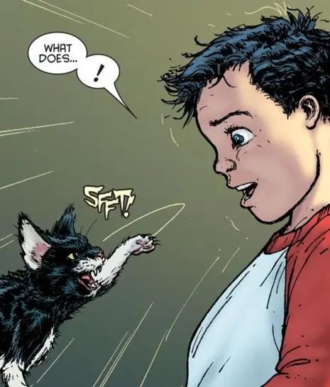 除了狗，蝙蝠侠和罗宾们还养过什么宠物？