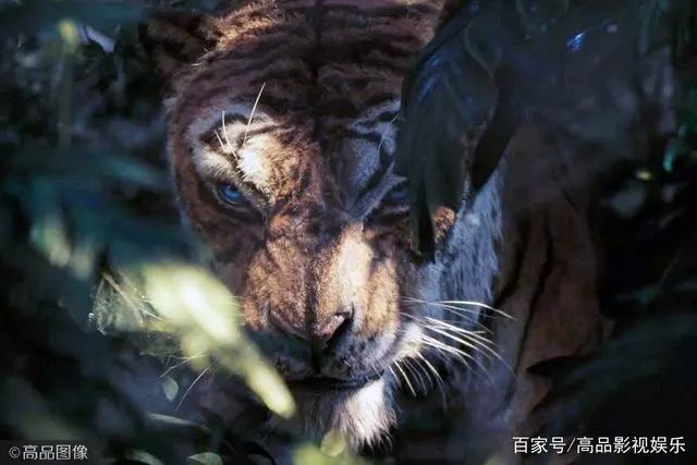 卷福、“蝙蝠侠”贝尔、大魔王凯特都来配音，森林之子的奇幻冒险