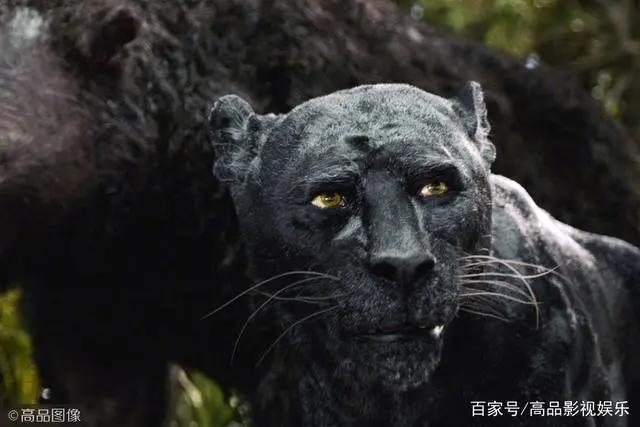 卷福、“蝙蝠侠”贝尔、大魔王凯特都来配音，森林之子的奇幻冒险