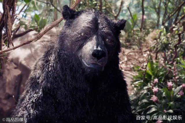 卷福、“蝙蝠侠”贝尔、大魔王凯特都来配音，森林之子的奇幻冒险