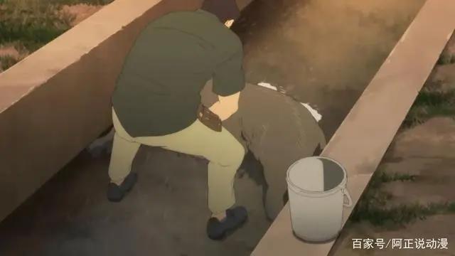 动画大师翻车了？这是他第一部没上7分的动画