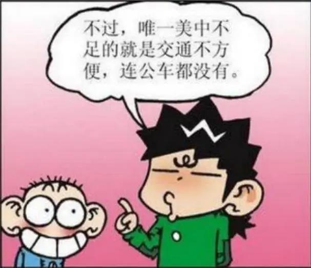 白吃村没有公车，但公牛！毕竟谁能拒绝花一元钱被公牛带着绕一圈