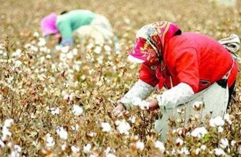 动漫姓氏考据：“四月一日”“我妻”真存在；“出木杉”是杜撰的