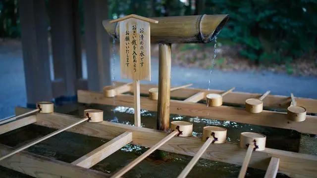 动漫姓氏考据：“四月一日”“我妻”真存在；“出木杉”是杜撰的