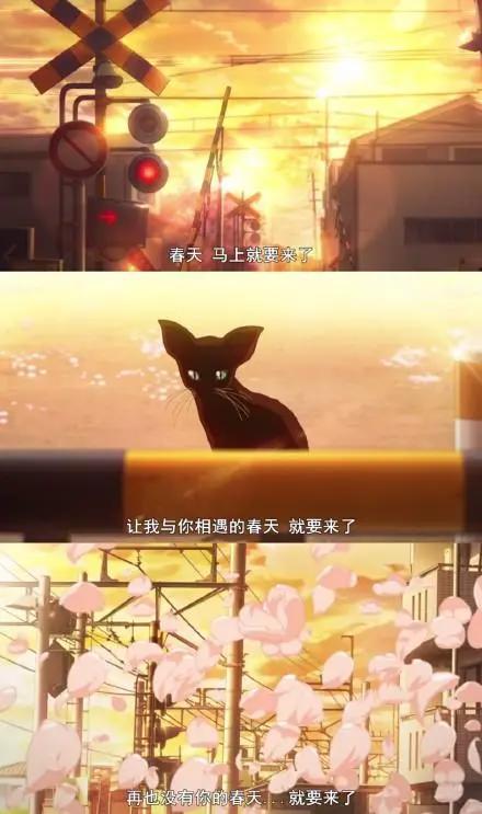 今天到四月了，那个在日漫中不同寻常的月份，没有你的四月来了