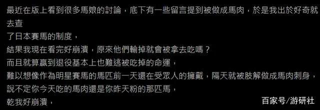 赛马娘粉丝祭拜角色在现实里的墓地，却引起了马迷的反感