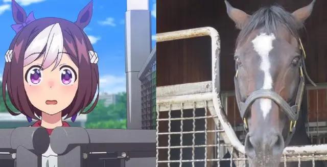 好家伙！《赛马娘》把《原神》压住了！