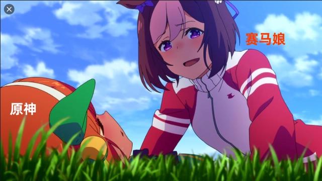 好家伙！《赛马娘》把《原神》压住了！