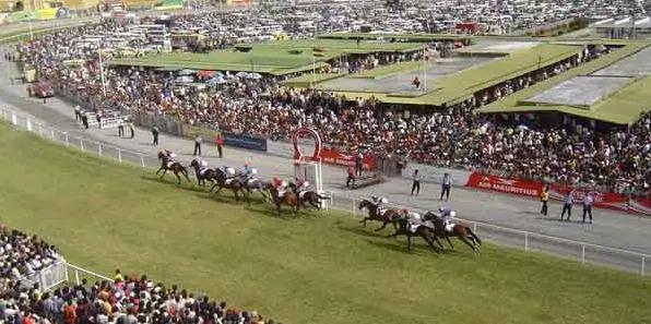 谁能想到一款赛马 娘化的二次元游戏，竟成了日本畅销新王