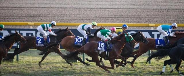 《赛马娘》二创被禁止，这都是“颜色漫画家”惹的祸？