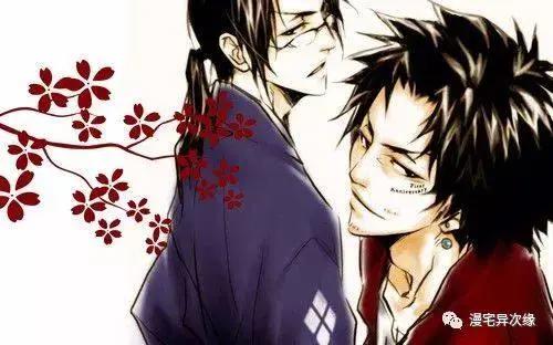 这几部冷番堪称神作，每一部豆瓣评分都超高，动漫中的艺术！