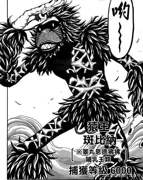 生不逢时的作品—《美食的俘虏》