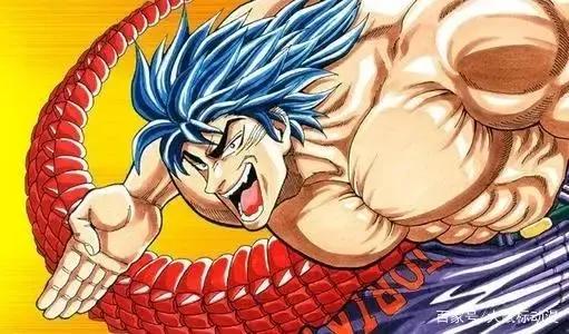 美食的俘虏（岛袋光年创作的漫画）单行本43卷全，内附动画版