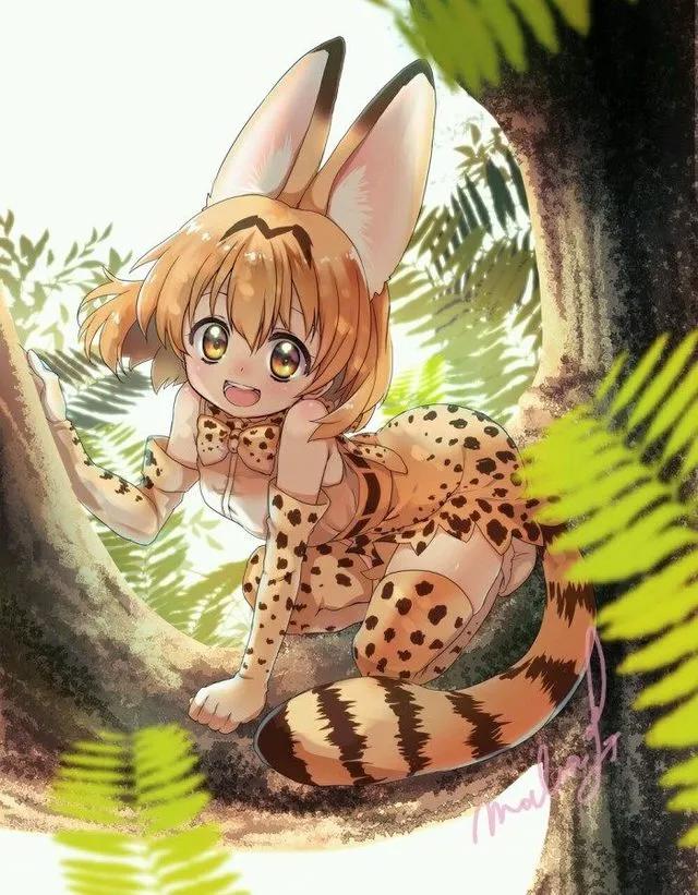 万物皆可“娘”，细数动漫里的娘化生物