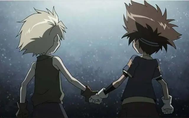 数码宝贝：为什么太一和素娜最后没能在一起