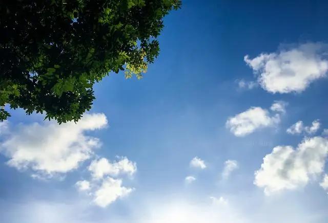 我们小时候看过的日漫，每一部都是满满的回忆！